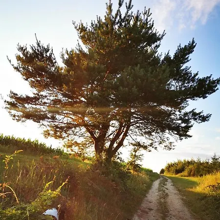 Casa rural őrség Kincse Hegyhátszentjakab