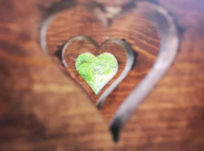 Orseg Kincse Country house