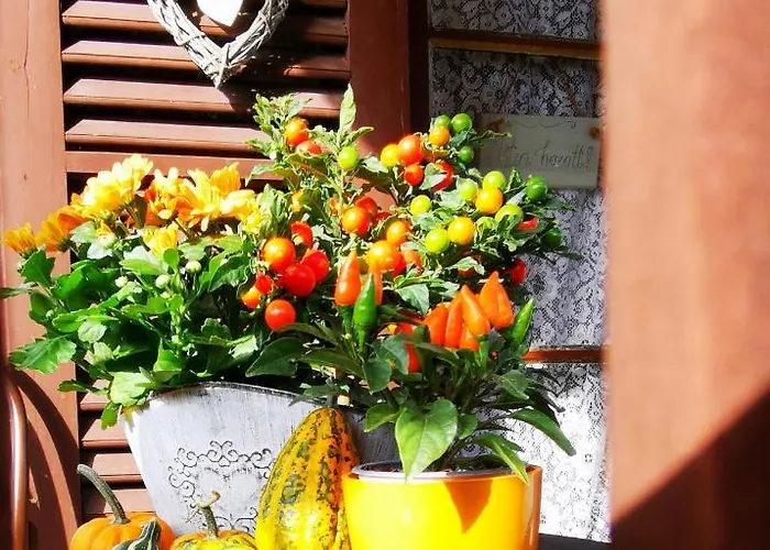 Orseg Kincse Country house *