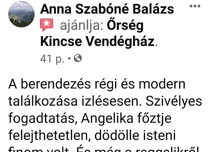 Country house Orseg Kincse *